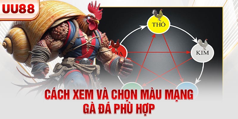 Cách xem và chọn màu mạng gà đá phù hợp