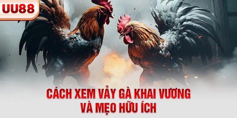 Cách xem vảy gà khai vương và mẹo hữu ích