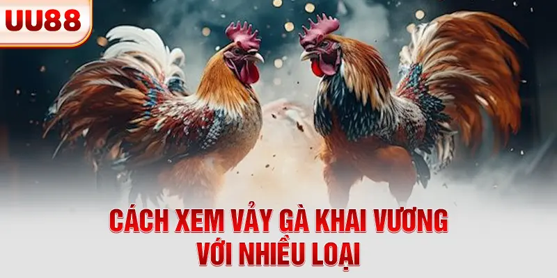 Cách xem vảy gà khai vương với nhiều loại