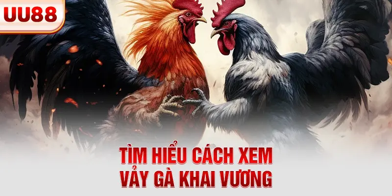Tìm hiểu cách xem vảy gà khai vương
