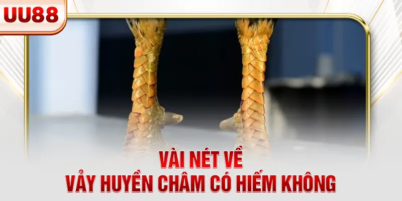 Vài nét về vảy huyền châm có hiếm không Vài nét về vảy huyền châm có hiếm không