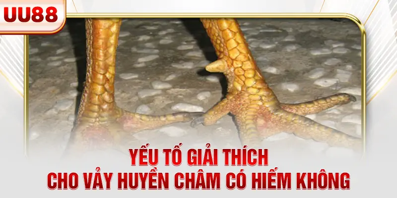Yếu tố giải thích cho vảy huyền châm có hiếm không Yếu tố giải thích cho vảy huyền châm có hiếm không